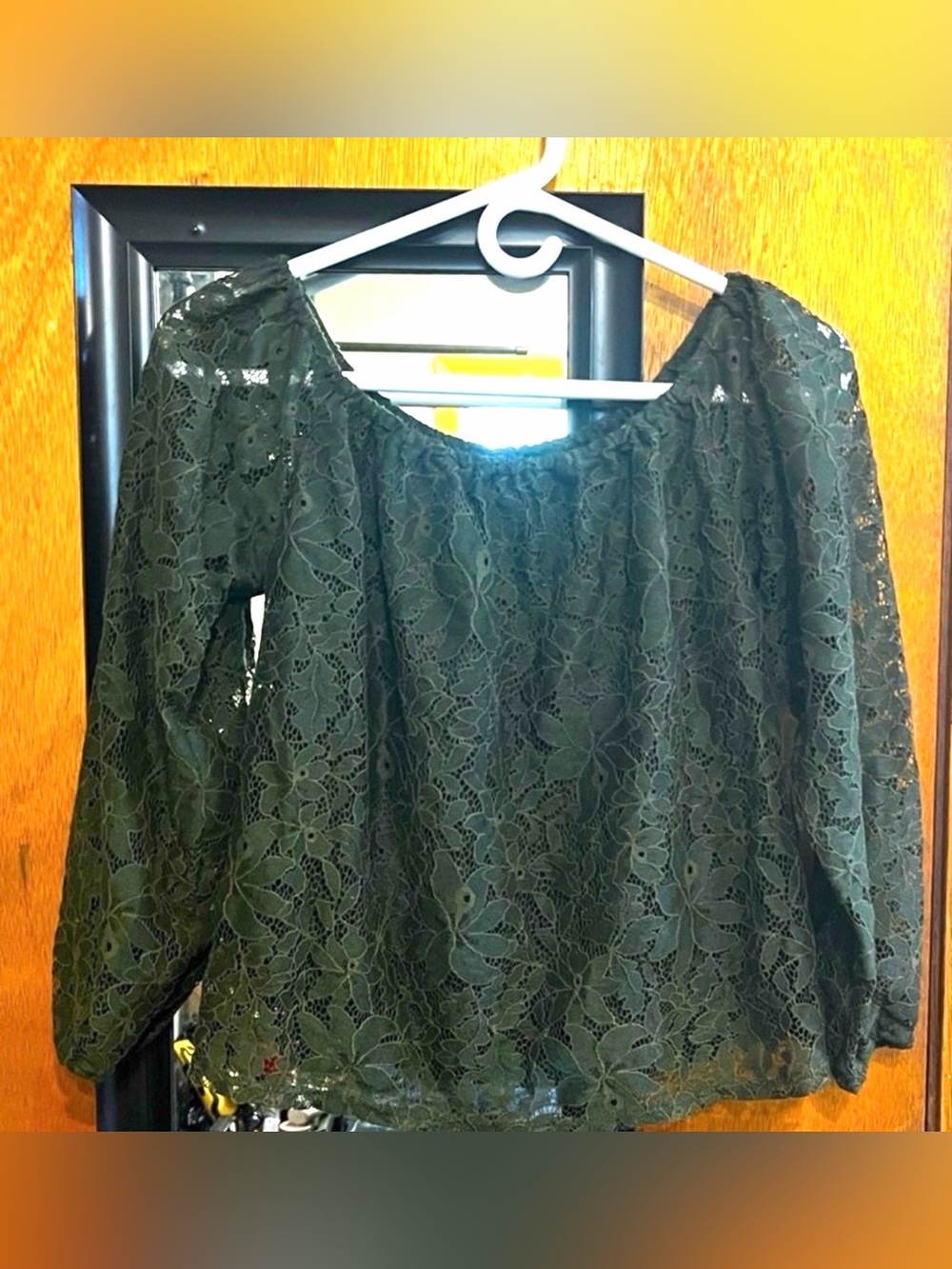 Hollister long-sleeve floral lace lined off-the-shoulder blouse size small